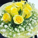 Serene Ho - @serenehsf - Instagram