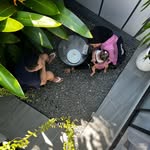 Serene House - @sereneehouse - Instagram