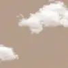 SerenityBrown - @serenitybrown_1234 - TikTok