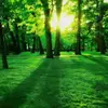 SerenityDancer - @serenitydancer - TikTok