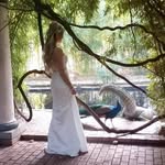 Serenity Gardens Scottsdale - @serenitygardensscottsdale - Instagram