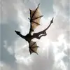 serenitystark - @serenitystark3 - TikTok