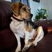 Serge Aubry - Facebook