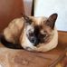 Serge Beaudoin - Facebook