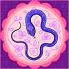 Serge Leduc - @serge.leduc93 - TikTok