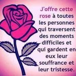 Serge Lefebvre - @sergio08000 - Instagram