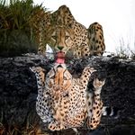 Serge Renaud - @serge_renaud24 - Instagram