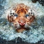 Serge renaud - @renaudserge6 - Instagram