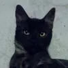 Sergio - @sergioabrego81 - TikTok