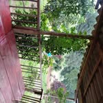 Sergio Acuña - @sergioacuna217 - Instagram