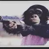Sergio Antillon - @sergioantillon4 - TikTok