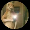 Sergio Arguelles - @sergio.arguelles3 - TikTok