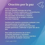 Sergio Maria Arreguin - @sergioarreguinprez - Instagram