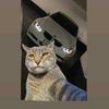 Sergio Avalos - @sergio.avalos01 - TikTok