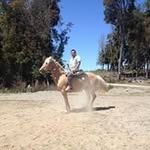 Sergio Avendaño - @sergio.avendano.391 - Instagram