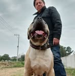 Sergio Bahena - Facebook