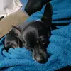 Sergio Bahena - @sergiobahena24 - TikTok