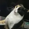 TininhaaaaaBR - @sergiobaptista13 - TikTok