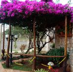Sergio Blanch - Facebook