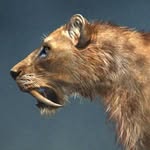 Sergio Botero - @sergio.botero.artist - Instagram