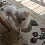 Sergio Calles - Facebook
