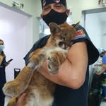 Sergio Camargo - @drsergiocamargo - Instagram
