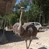 Sergio Camargo - @sergio.camargo778 - TikTok