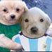 Sergio Cantu - Facebook
