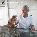Sergio Ceron - @sergio.ceron57 - Instagram