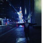 Sergio Chapa - @serg_photagraphs - Instagram