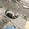 Sergio Chinchilla - @sergio.chinchilla03 - TikTok