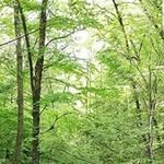Sergio Corbo - @sergio.corbo - Instagram