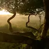 Sergio Corbo - @sergio.corbo - TikTok