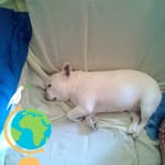 Sergio Curiel Diez - @curieldiez - Instagram