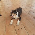 Deluca Sergio - Facebook