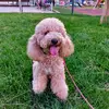 Sergio De Luca - @sergio.de.luca98 - TikTok