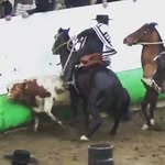 Sergio Vicencio Donoso - @vicenciodonoso - Instagram