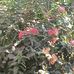 Sergio Estevez - Facebook