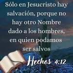 Sergio Florez - @sergio.florez7 - Instagram
