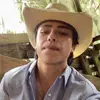 SergioGarza🍻 - @sergio.garza29 - TikTok