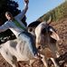 Sergio Gaxiola Cervantes - Facebook