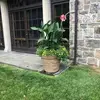 sergiogregorio7 - @sergiogregorio7 - TikTok