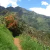 Tóxico - @sergiogregorio07 - TikTok