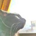 Sergio Javier - Facebook