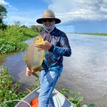 Sergio Kaneta - @sergioskaneta - Instagram