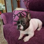 sergio kanete - @kanetesergio - Instagram
