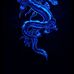 Sergio Lamas - Facebook