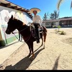 Sergio Pérez Lamas - @lamassergioperez - Instagram