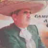 Sergio Landa - @sergiolanda217 - TikTok