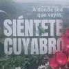 sergio largo - @longsergio - TikTok